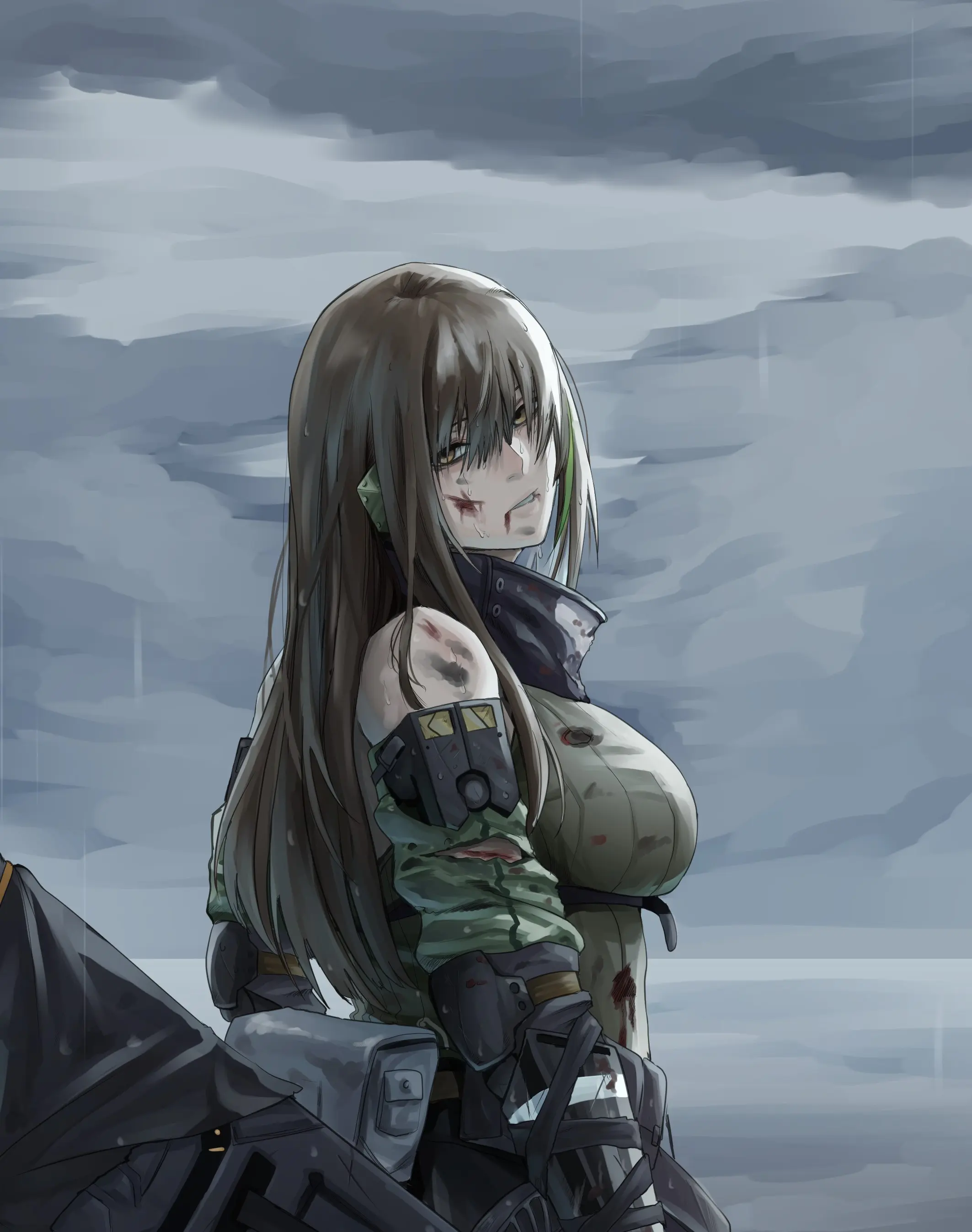 DrySeaweed