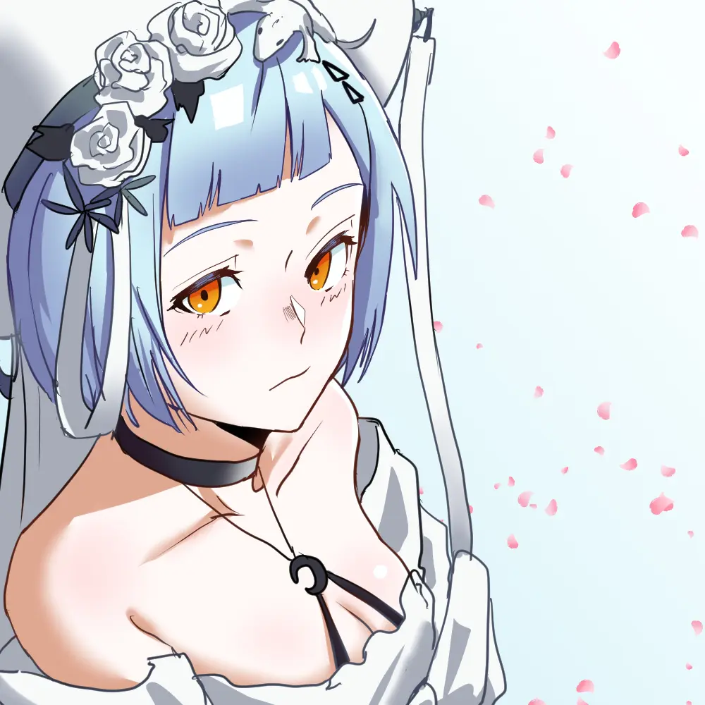 DrySeaweed