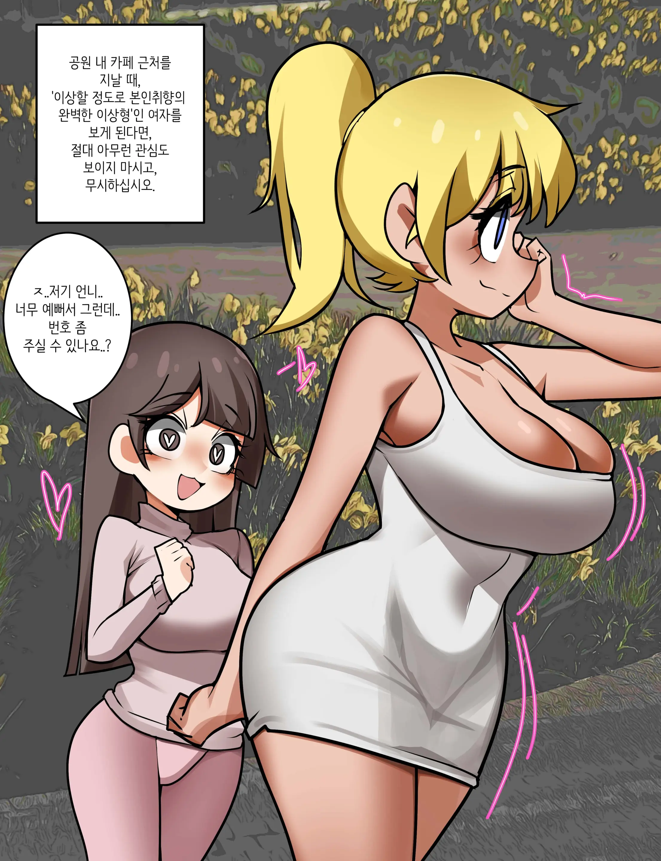 Collection