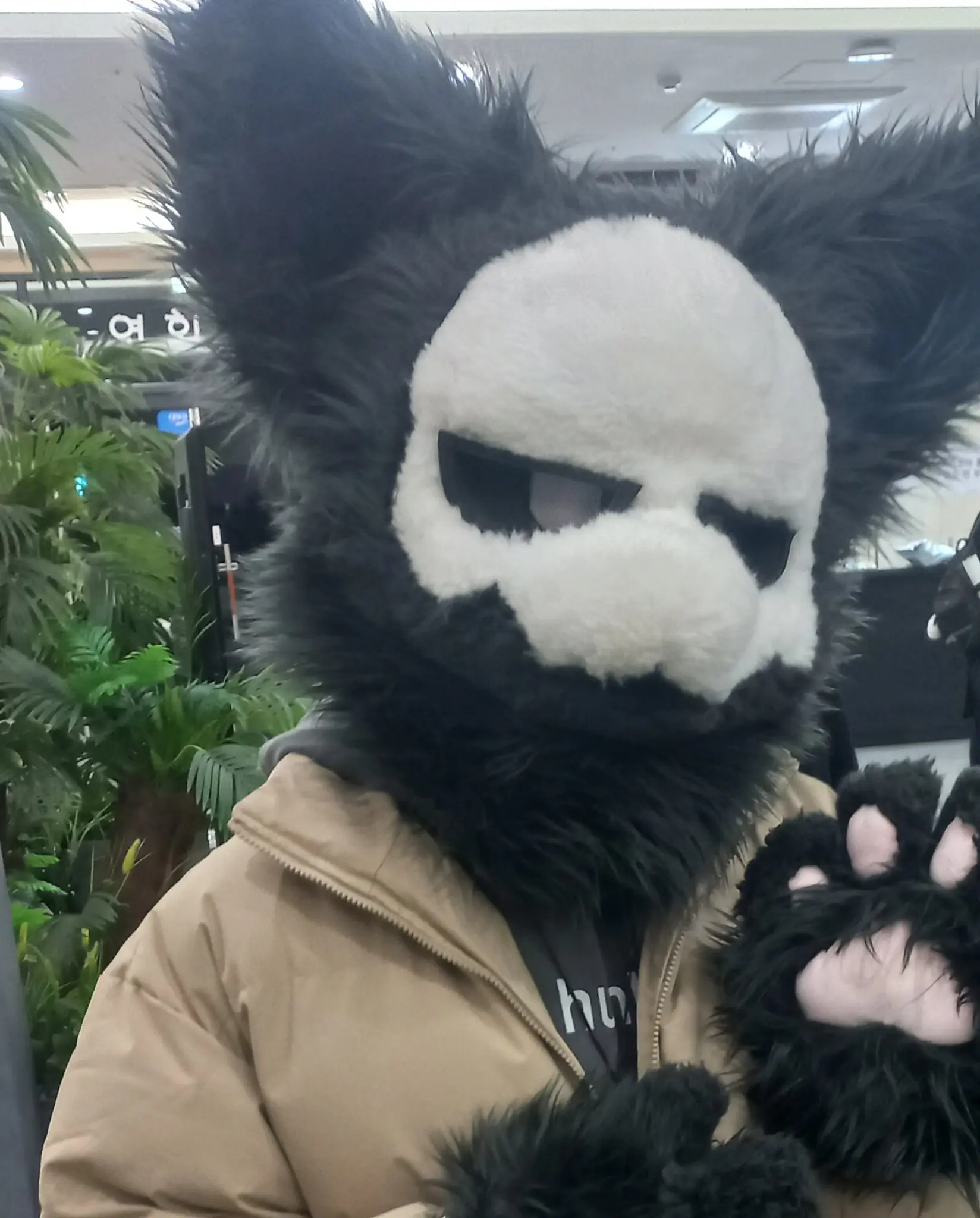 PokeMouse_
