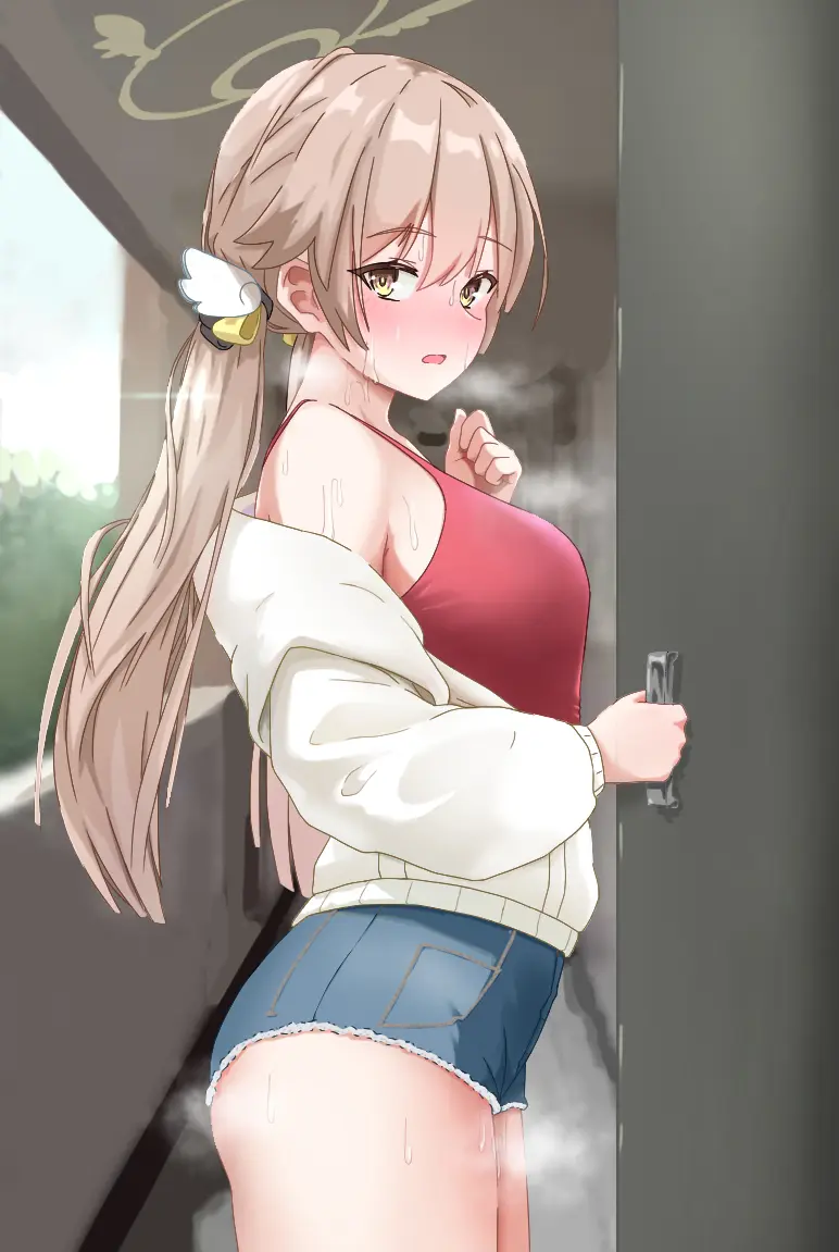 NTR/BSS