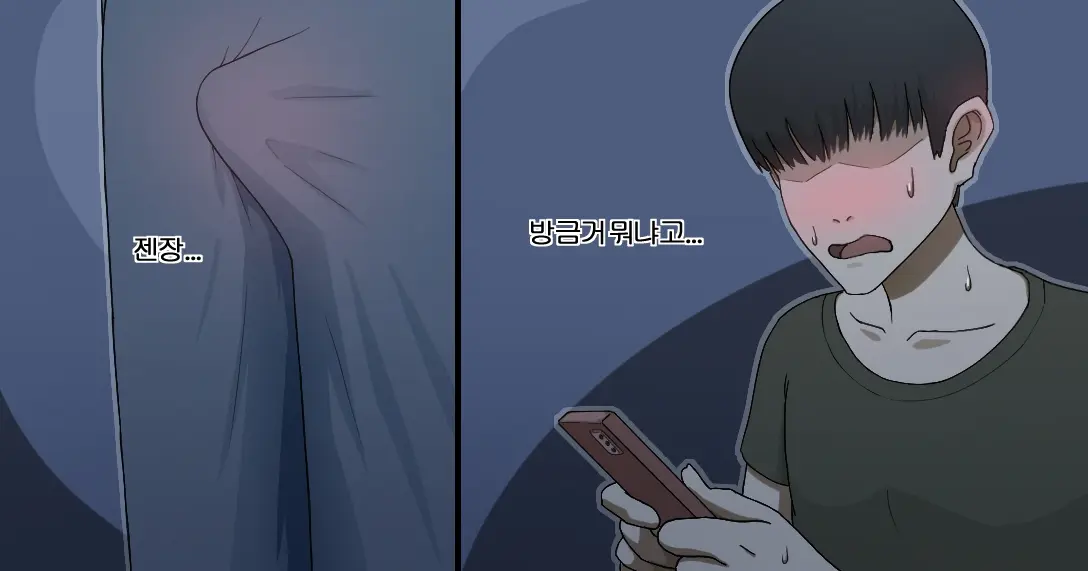 NTR/BSS