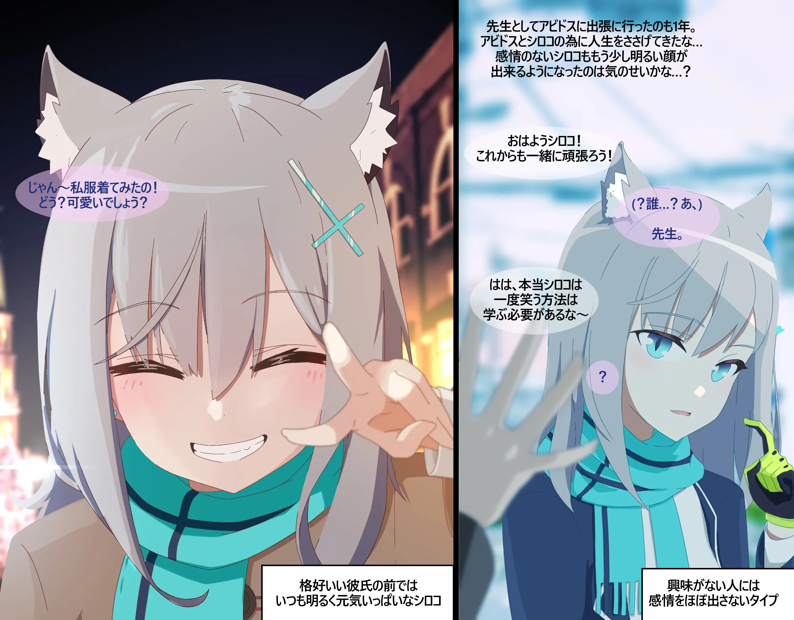 NTR/BSS