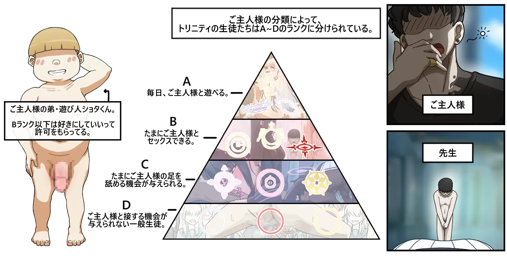 NTR/BSS