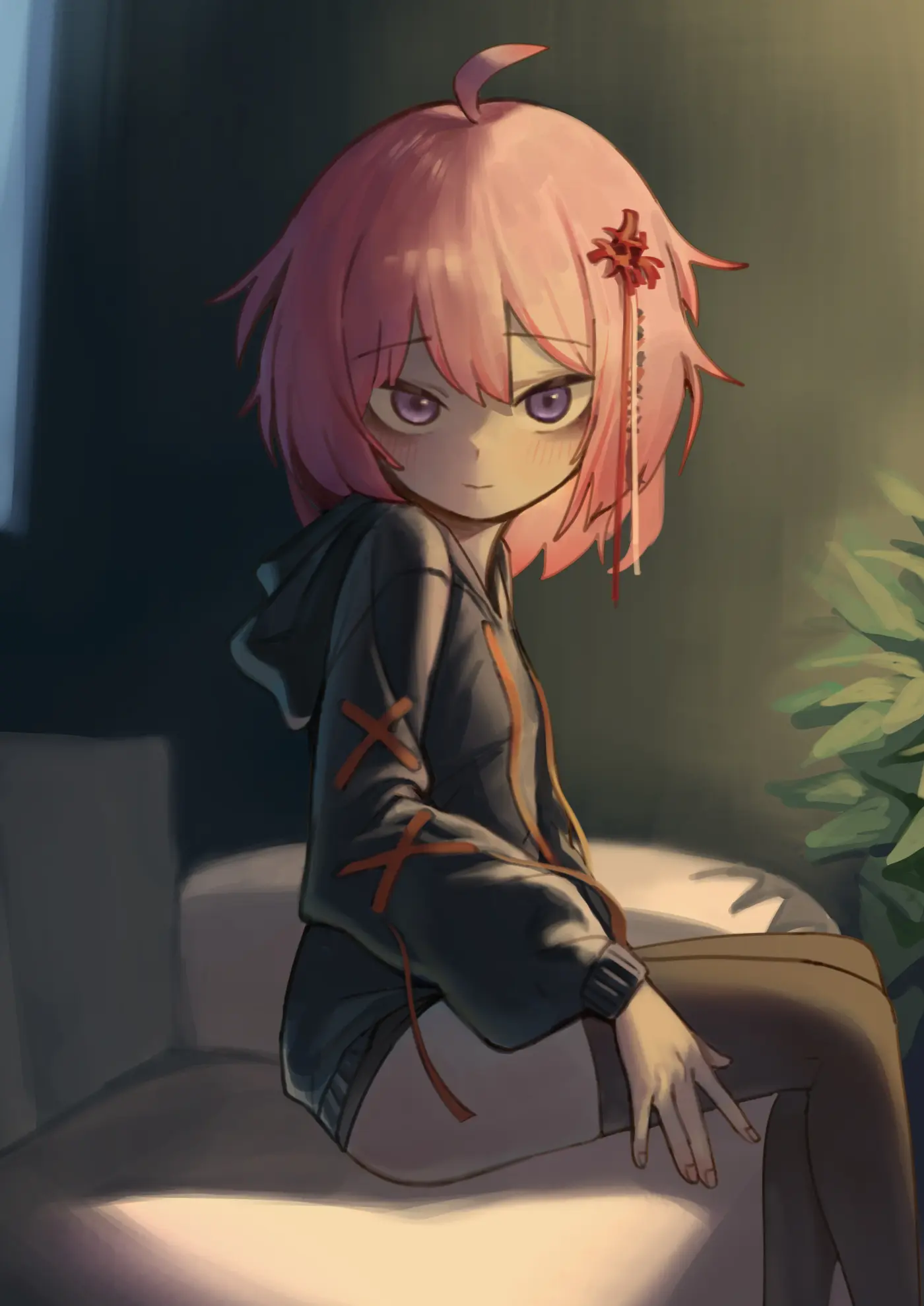 Suitshark