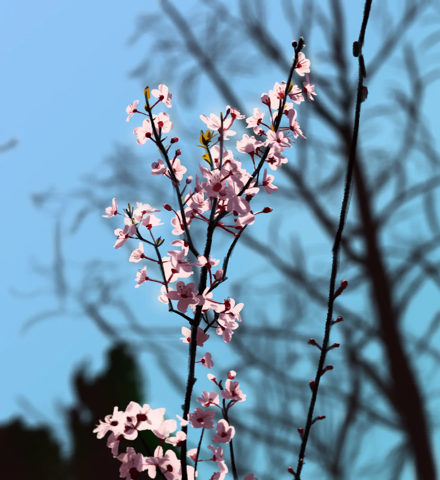 Eonsang