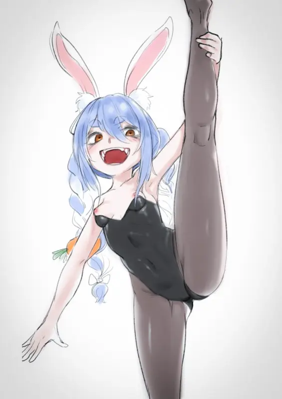 Suitshark