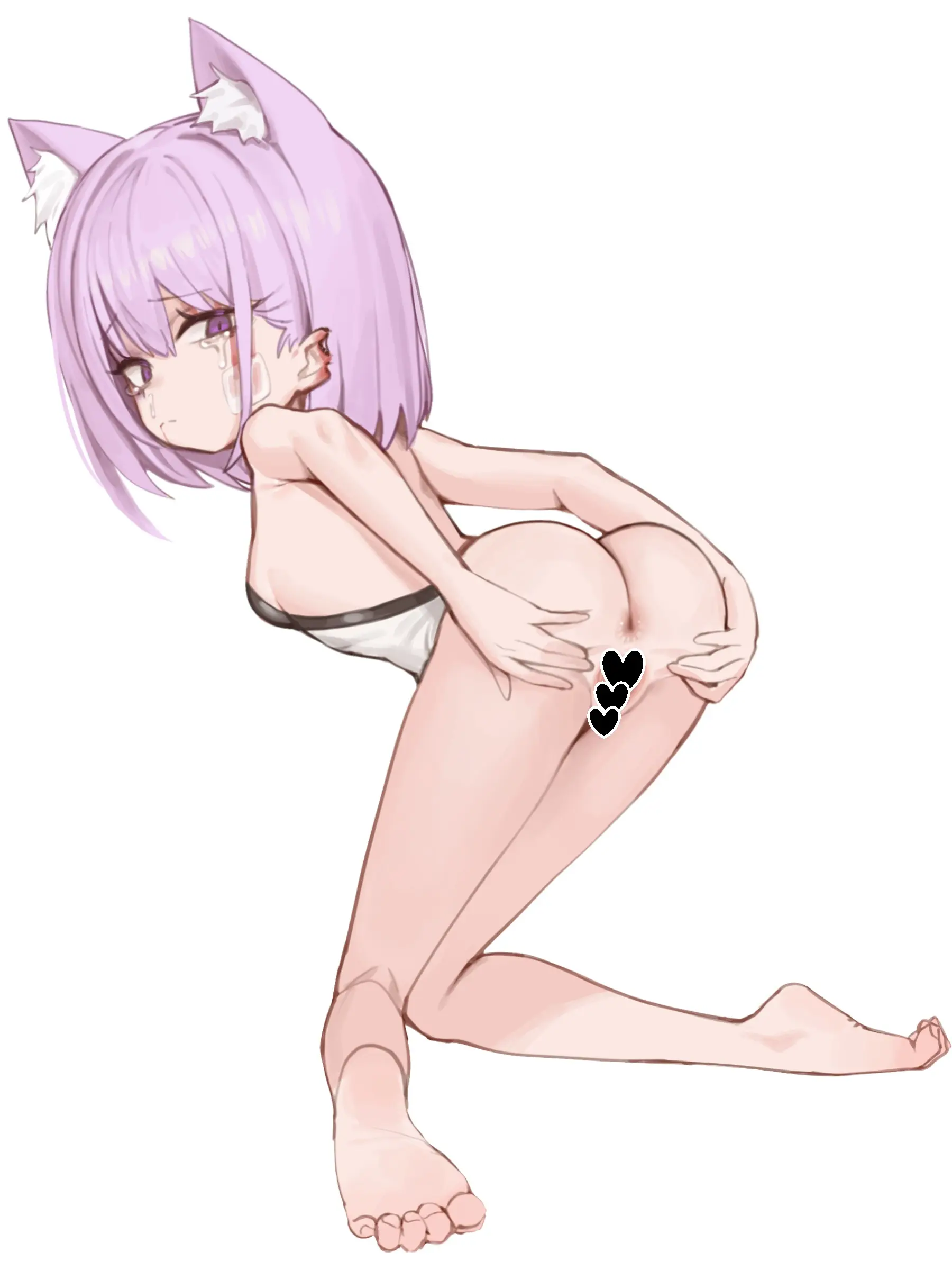 Suitshark