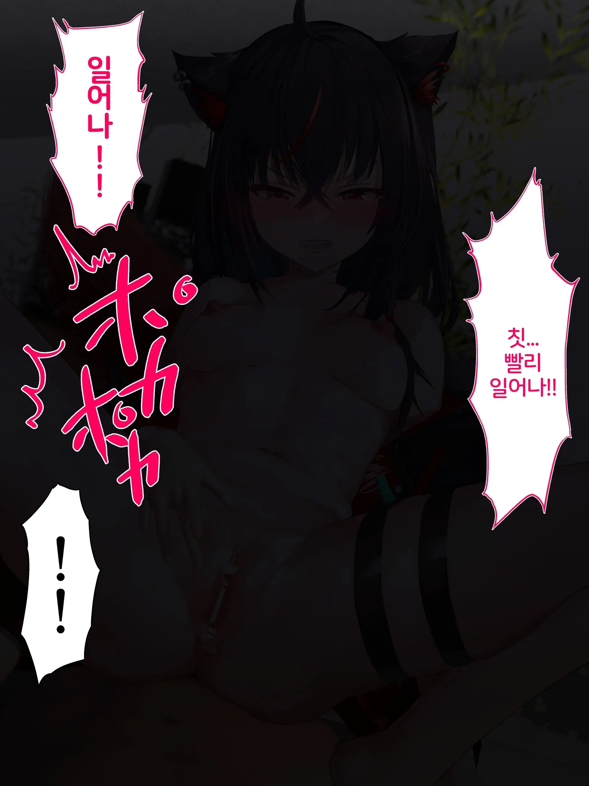 Dikk0 모음