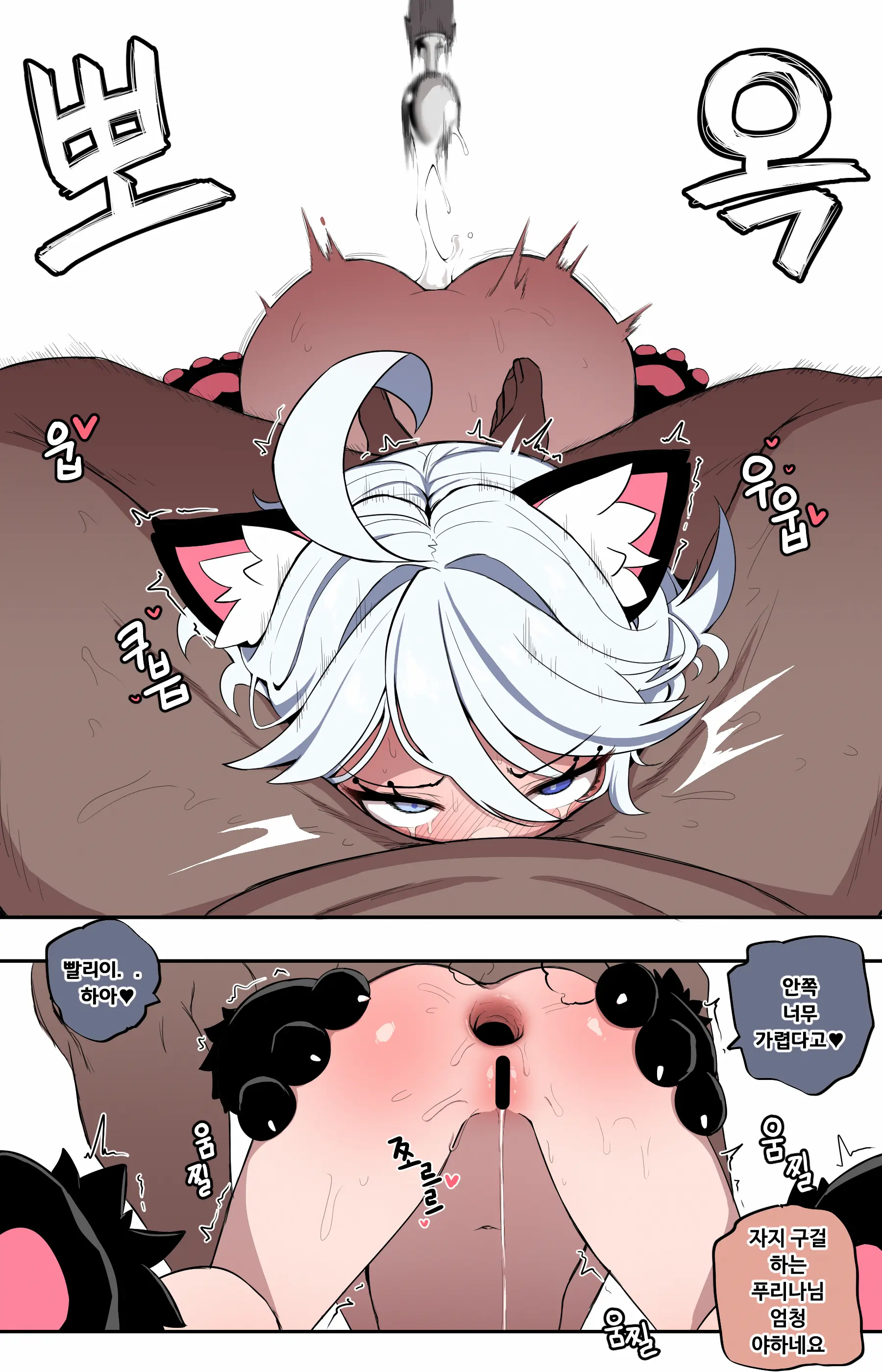 🦝
