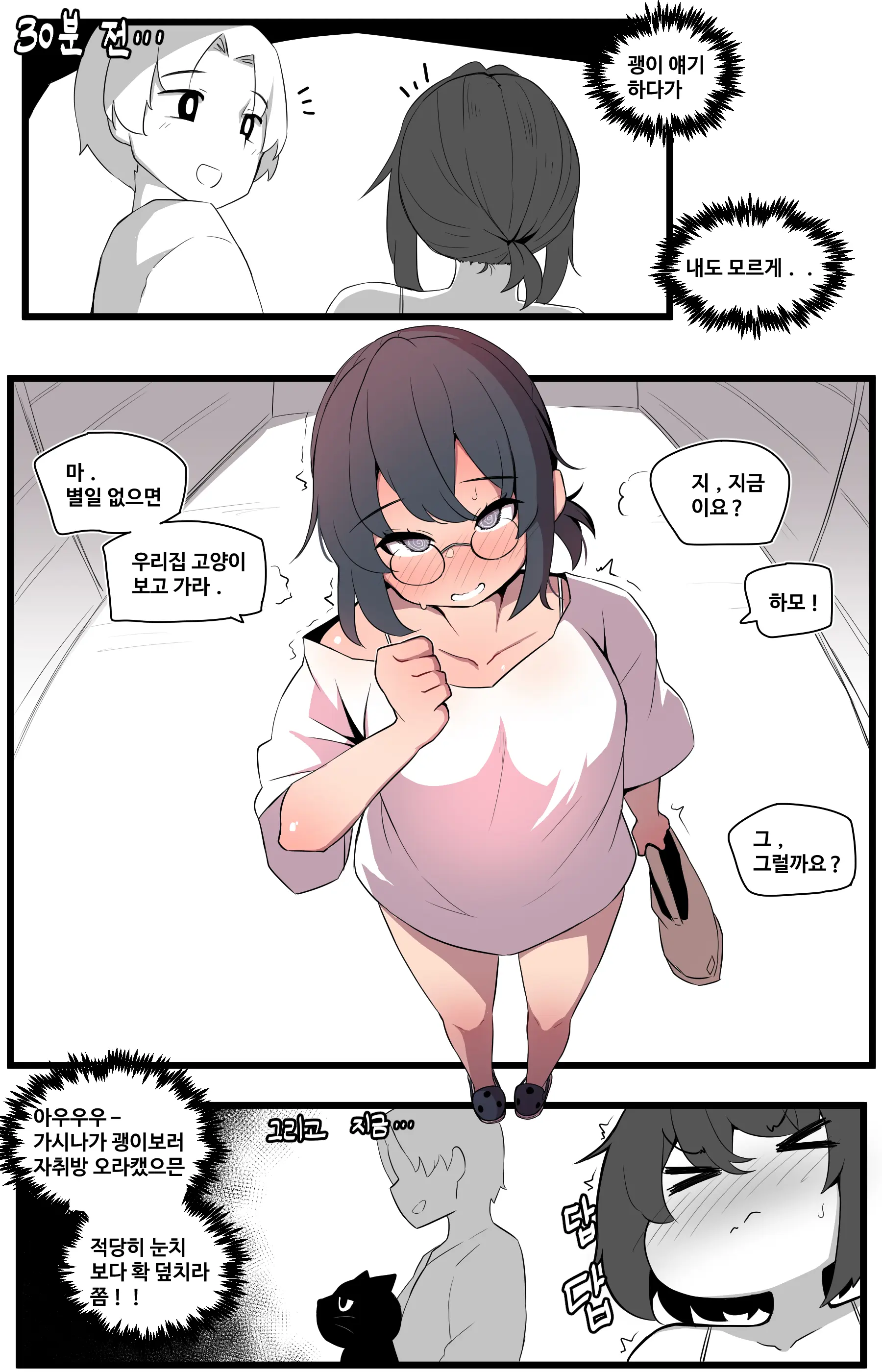 🦝
