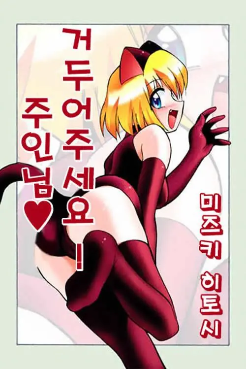 Hirotte! Koshujinsama