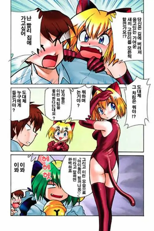 Hirotte! Koshujinsama