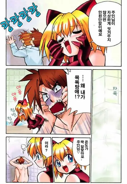 Hirotte! Koshujinsama