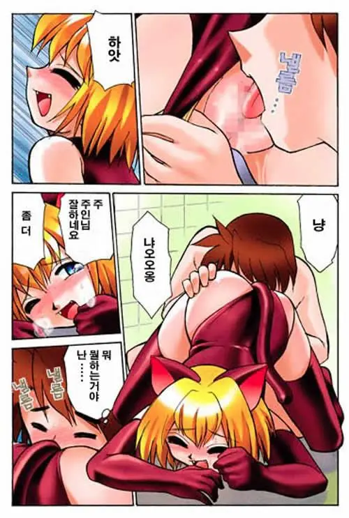 Hirotte! Koshujinsama