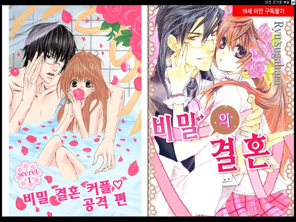 Naisho No Love Mariage | 비밀의 결혼