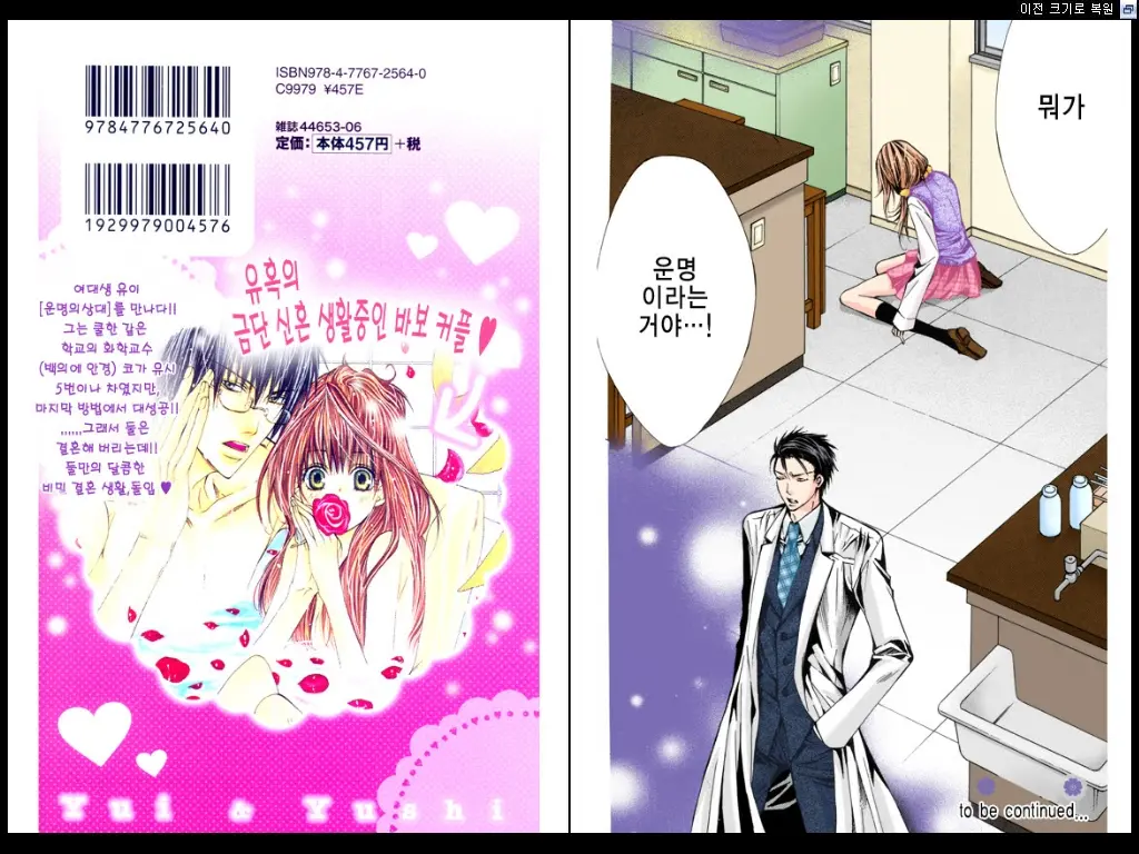 Naisho No Love Mariage | 비밀의 결혼