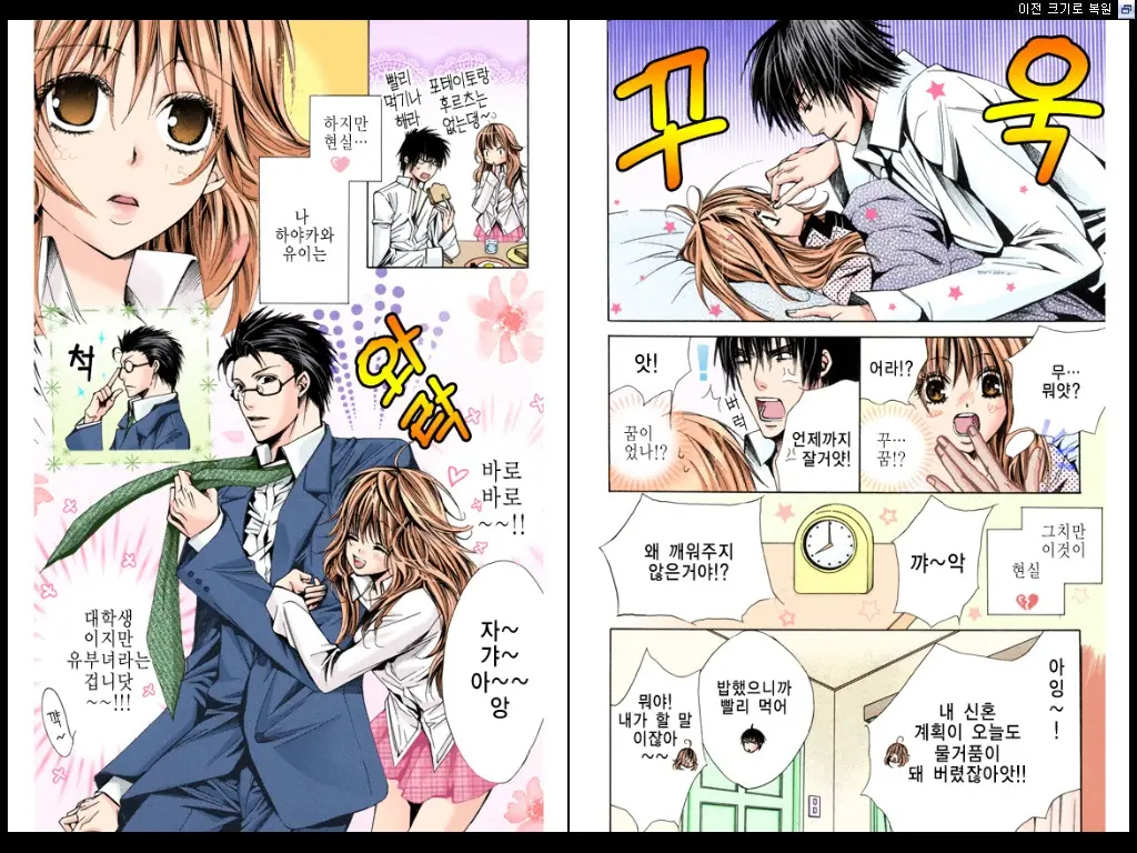 Naisho No Love Mariage | 비밀의 결혼