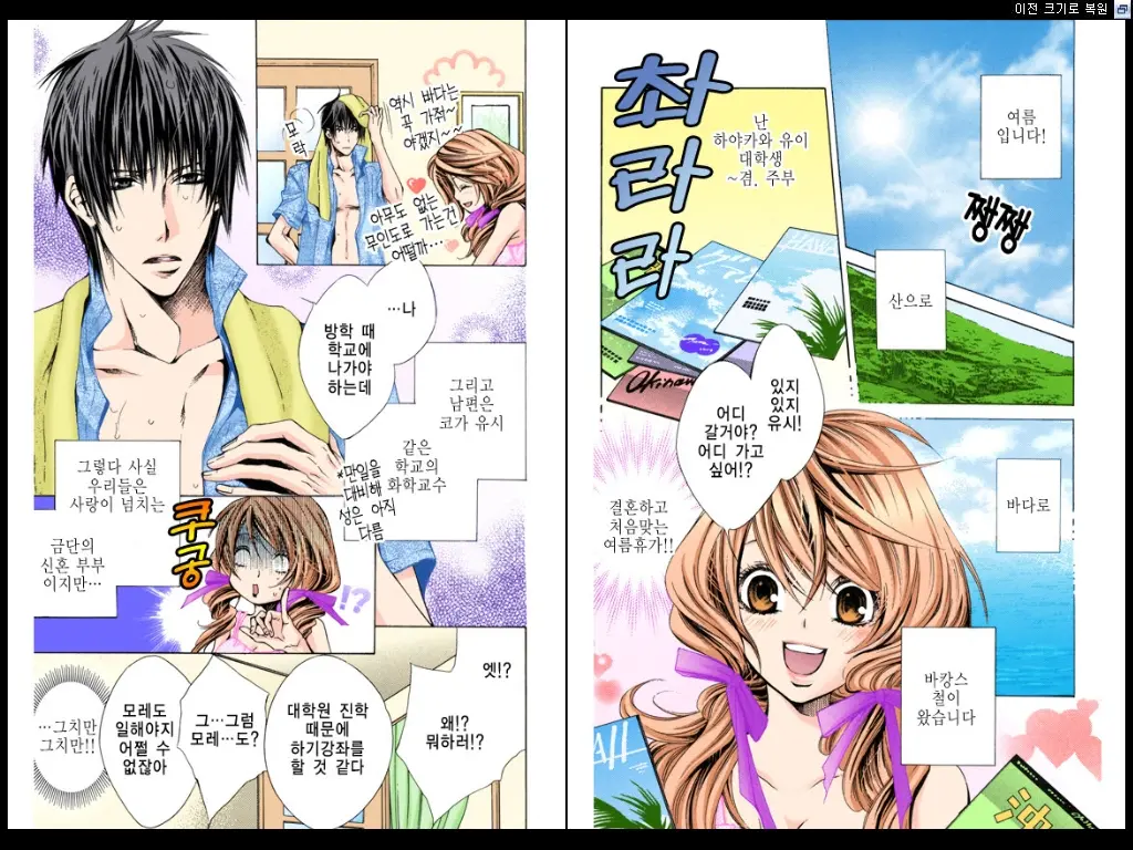 Naisho No Love Mariage | 비밀의 결혼