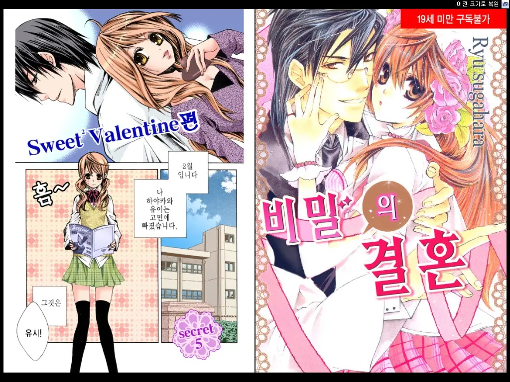 Naisho No Love Mariage | 비밀의 결혼