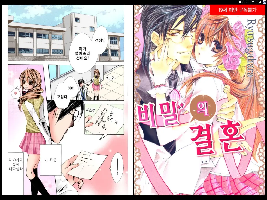 Naisho No Love Mariage | 비밀의 결혼