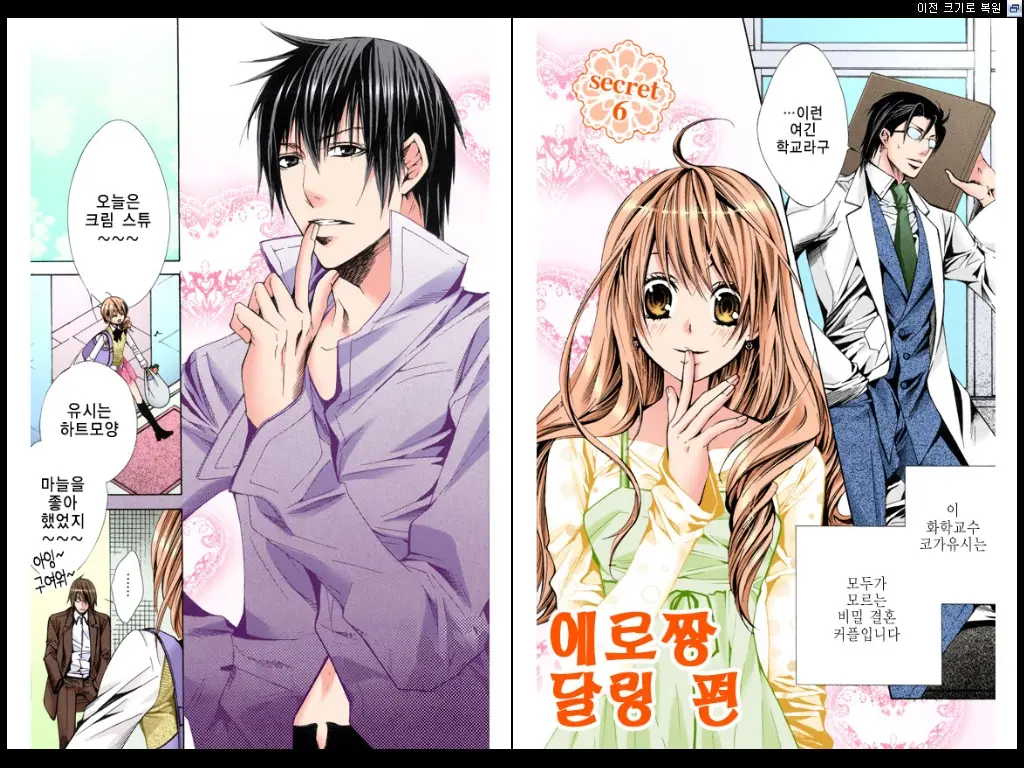 Naisho No Love Mariage | 비밀의 결혼