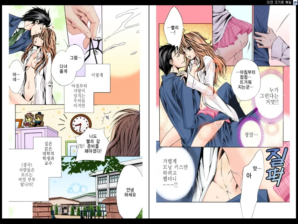 Naisho No Love Mariage | 비밀의 결혼