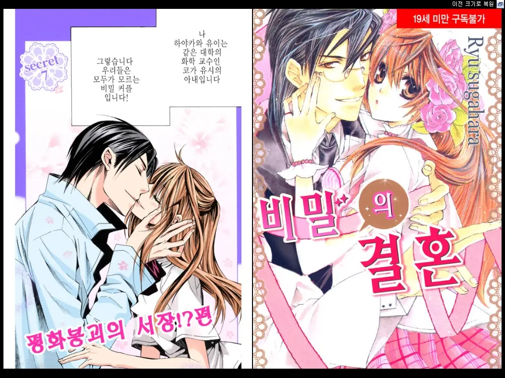 Naisho No Love Mariage | 비밀의 결혼