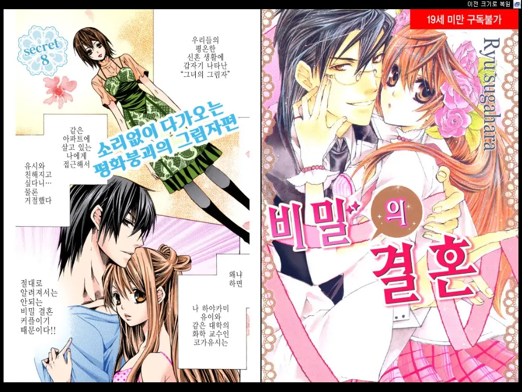 Naisho No Love Mariage | 비밀의 결혼
