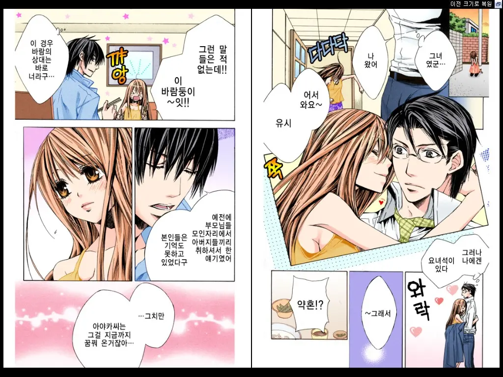 Naisho No Love Mariage | 비밀의 결혼