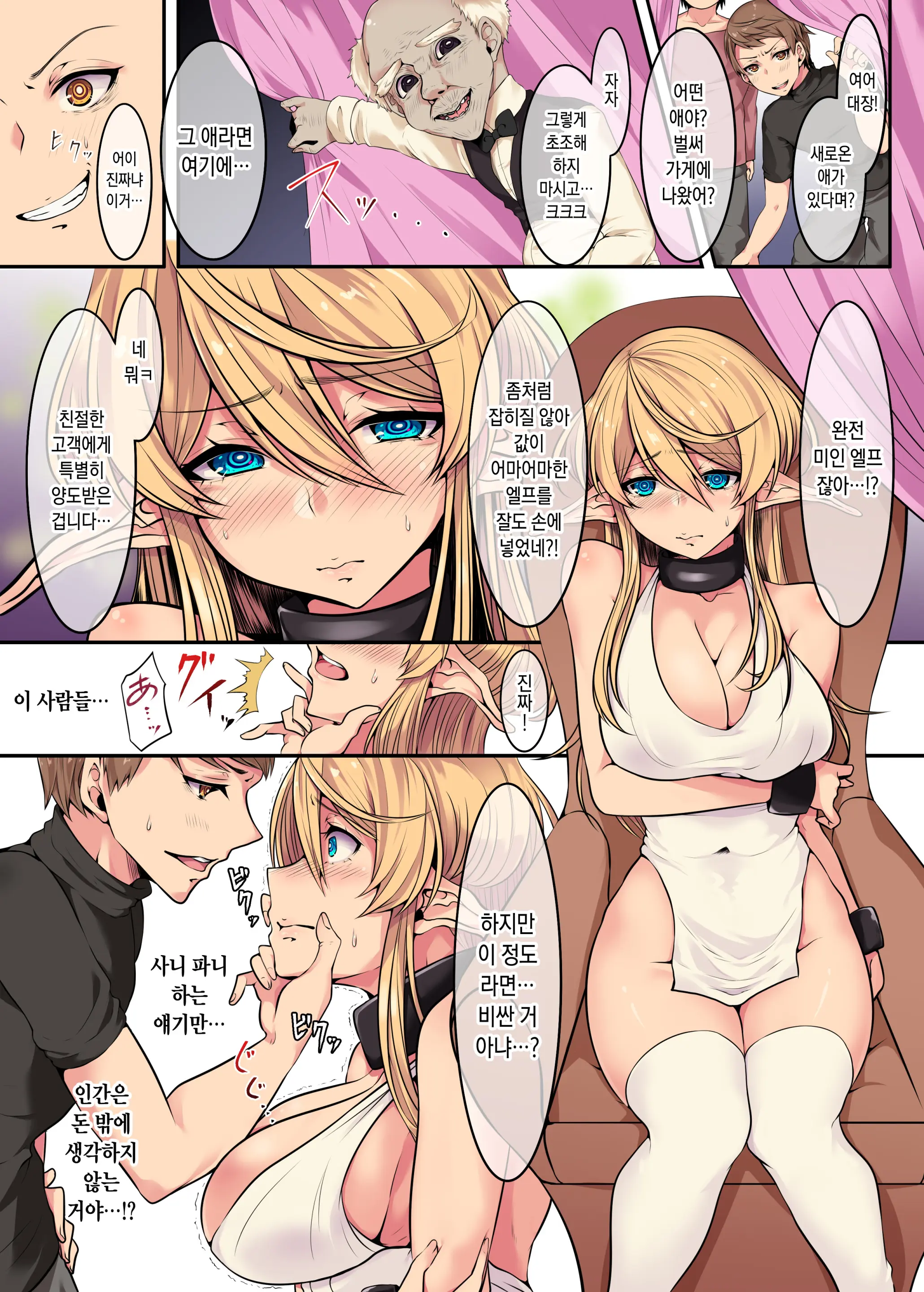 Elf No Matsuro ~Shojo Kara Shoufu Ochi Suru 200-Nenkan~ | 엘프의 말로 ~처녀에서 창부로 타락하는 200년간~