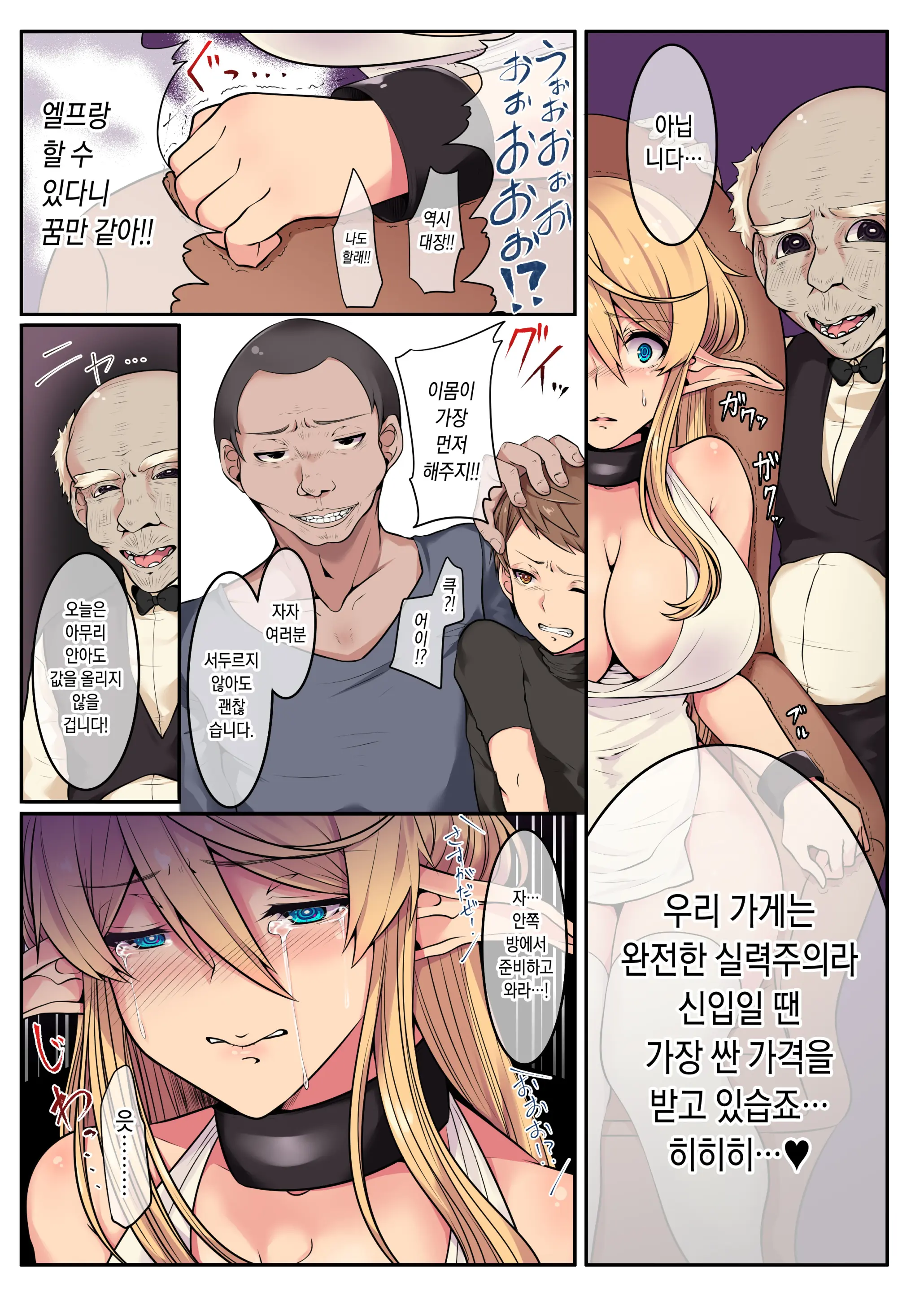 Elf No Matsuro ~Shojo Kara Shoufu Ochi Suru 200-Nenkan~ | 엘프의 말로 ~처녀에서 창부로 타락하는 200년간~
