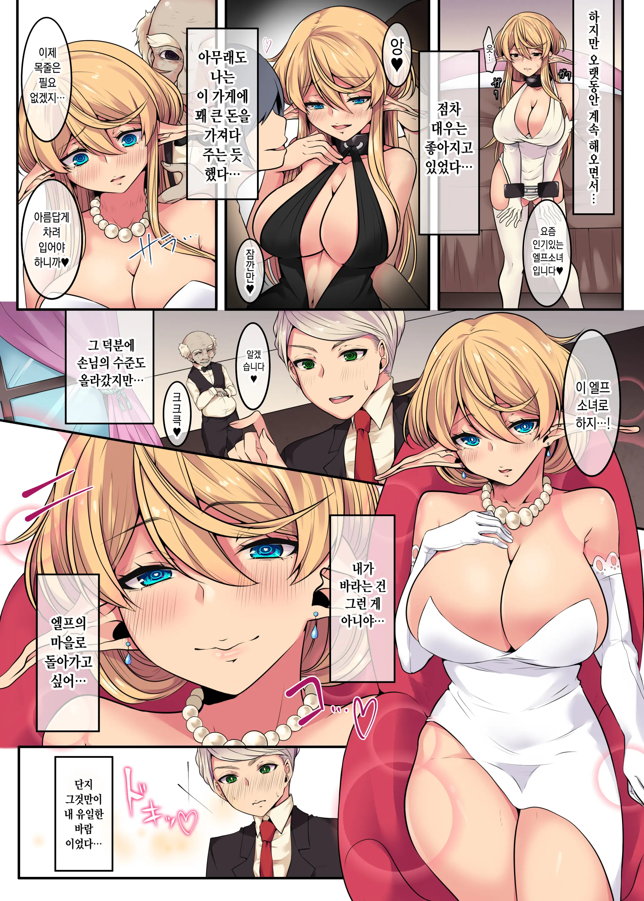 Elf No Matsuro ~Shojo Kara Shoufu Ochi Suru 200-Nenkan~ | 엘프의 말로 ~처녀에서 창부로 타락하는 200년간~
