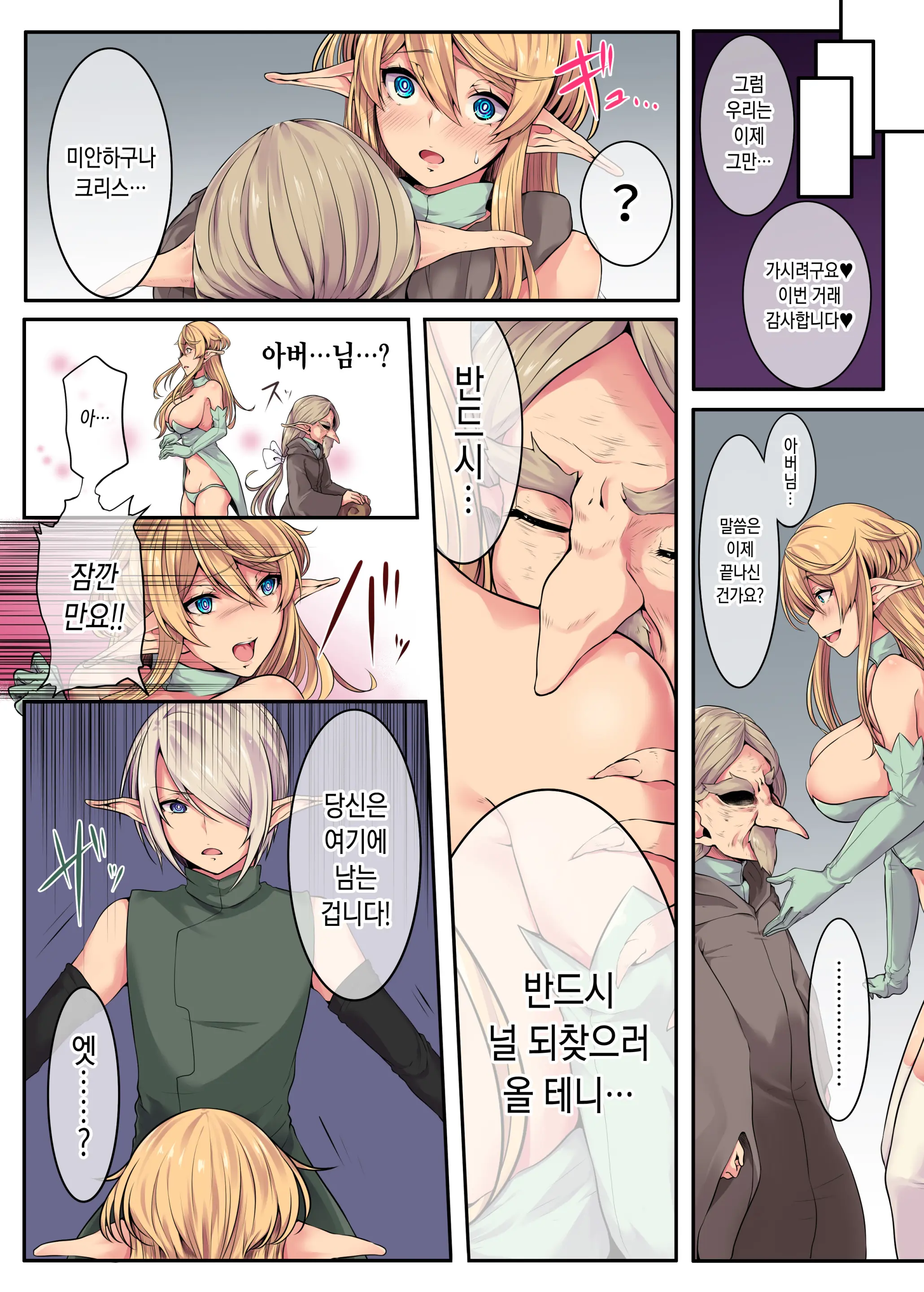 Elf No Matsuro ~Shojo Kara Shoufu Ochi Suru 200-Nenkan~ | 엘프의 말로 ~처녀에서 창부로 타락하는 200년간~