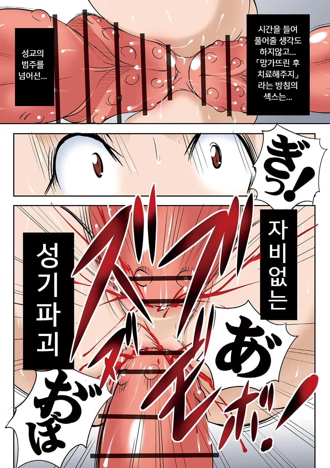 Houhuku Douga | 보복 영상