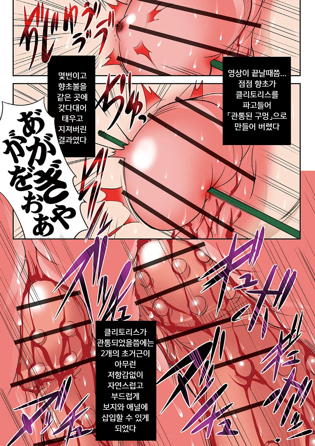 Houhuku Douga | 보복 영상
