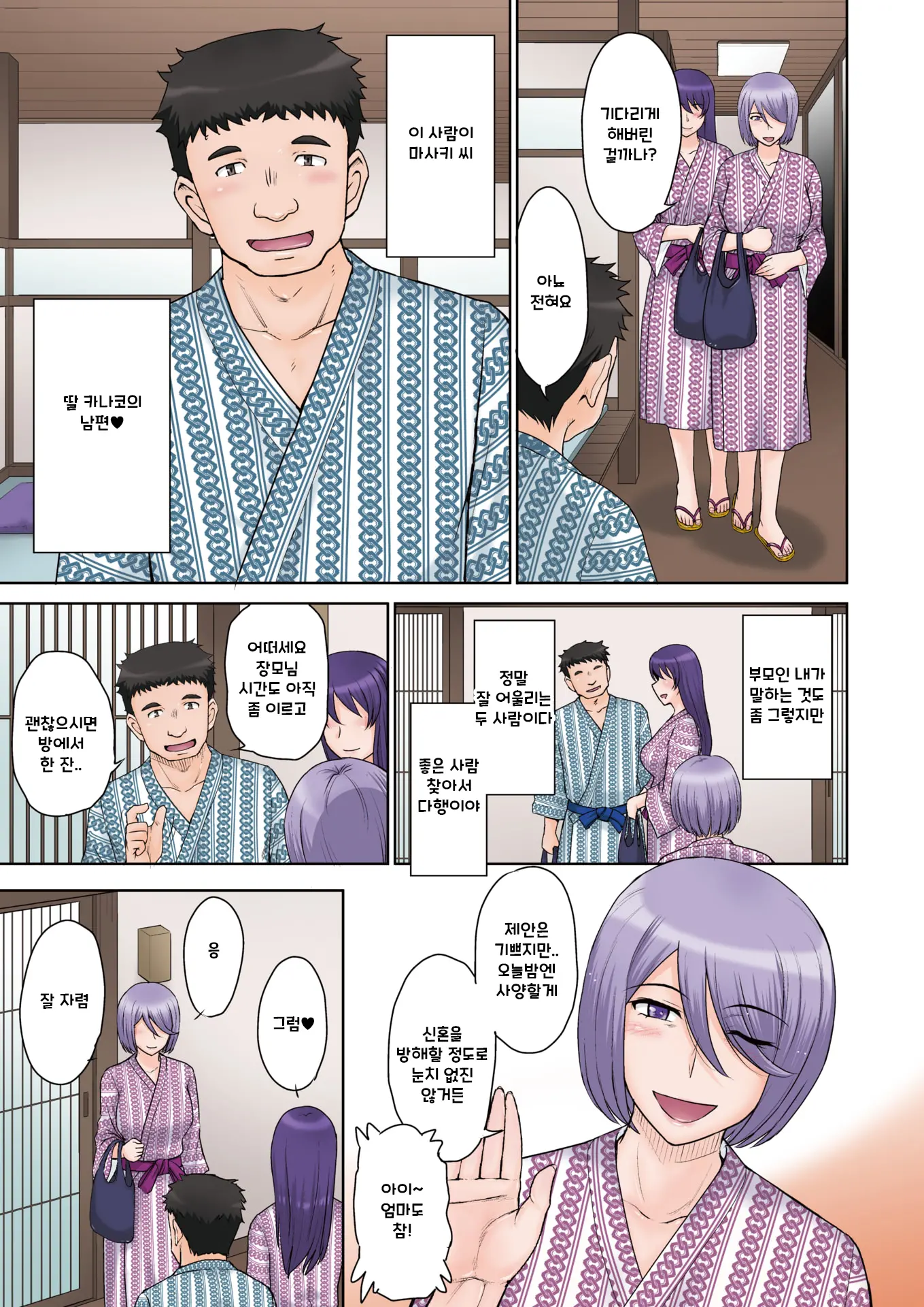 Onsen Ryokou ~Haha No Ochita Yoru~