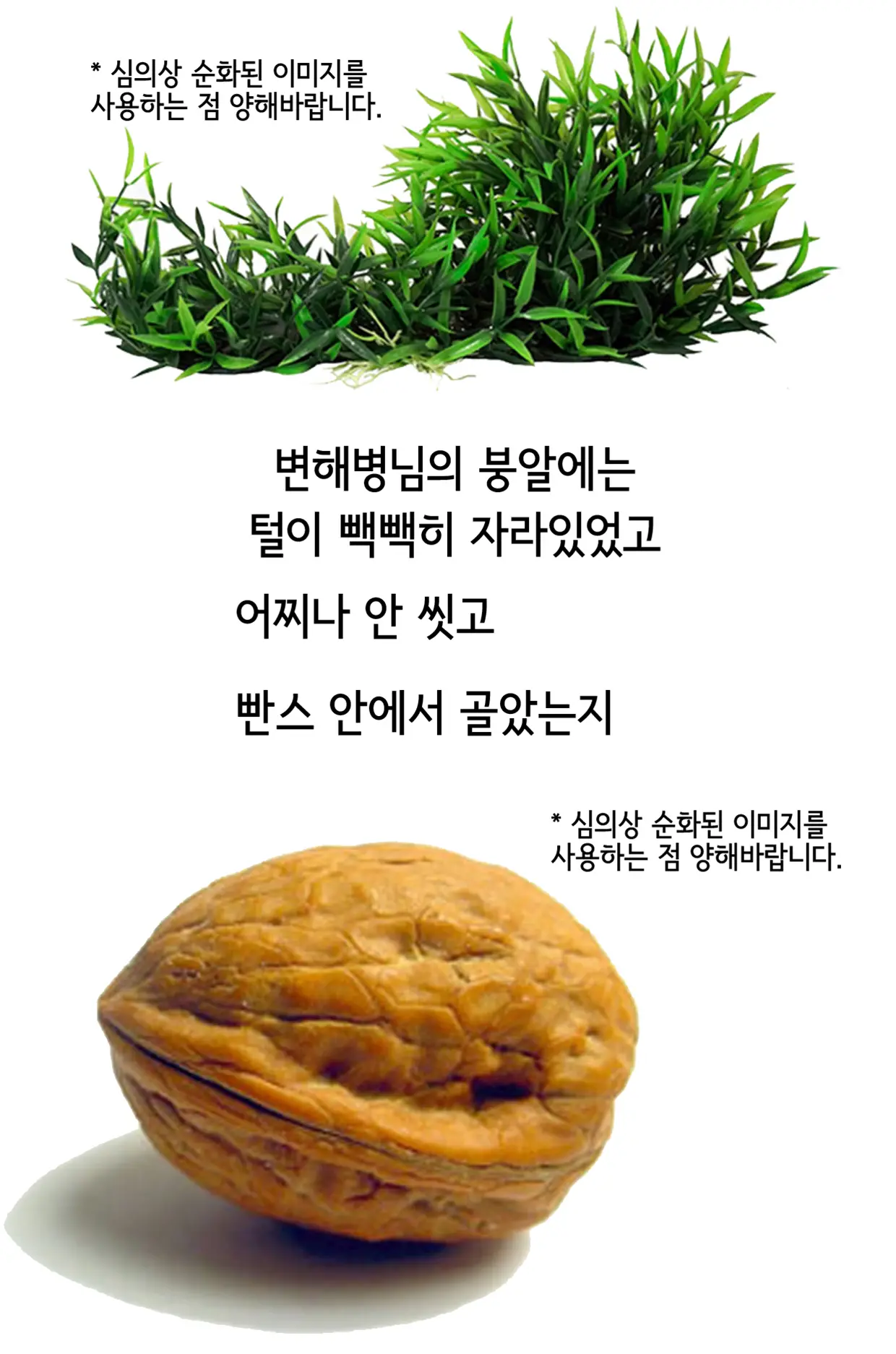 쾌흥태 해병의 성기난사 대소동
