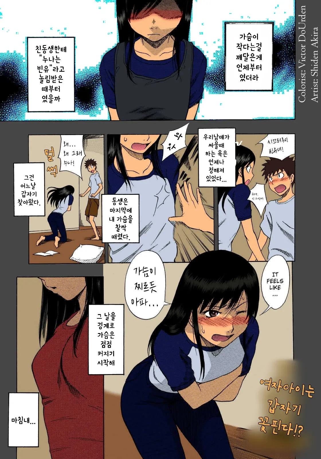 Hinnyuu Kyonyuu History | 빈유 거유 히스토리