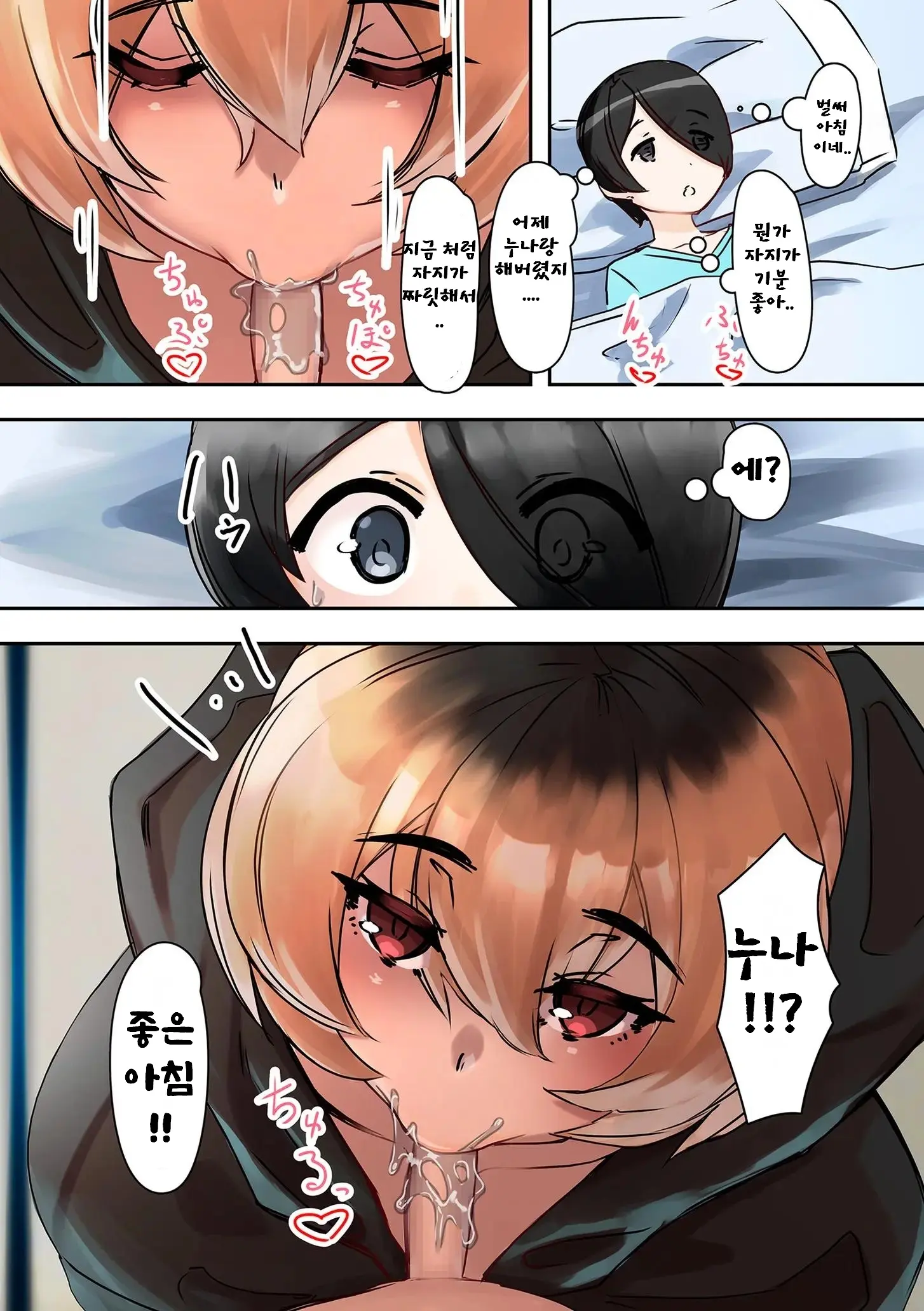 Onee-Chan O Hirottara... | 누나를 주우면...