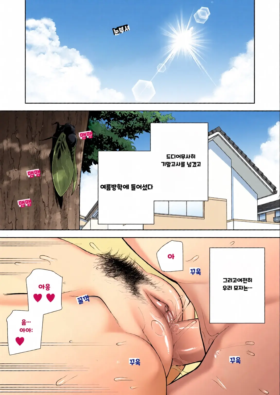 내 엄마이자 내가 좋아하는 사람 칼라 효과음 풀 번역