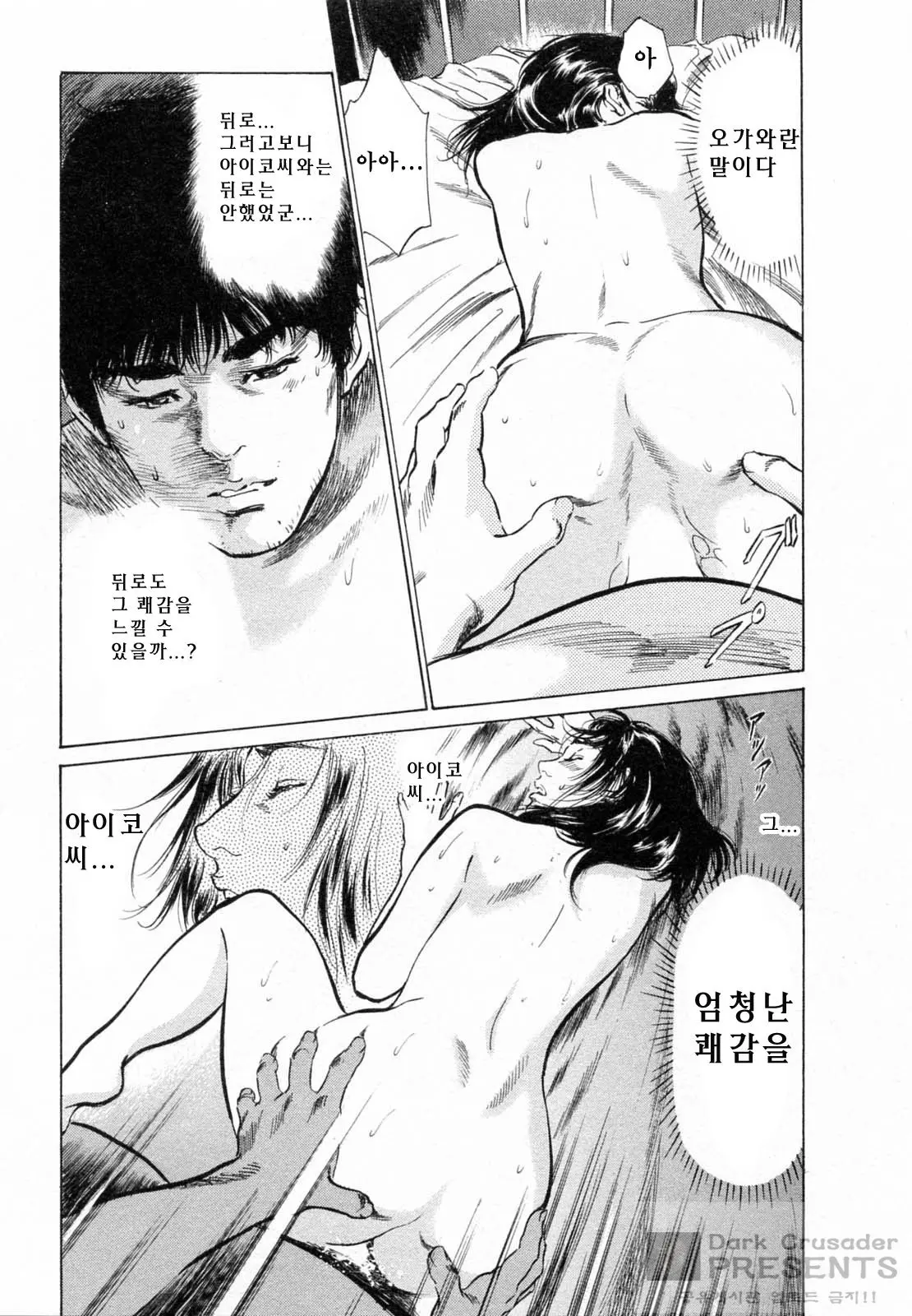 My Pure Lady 5