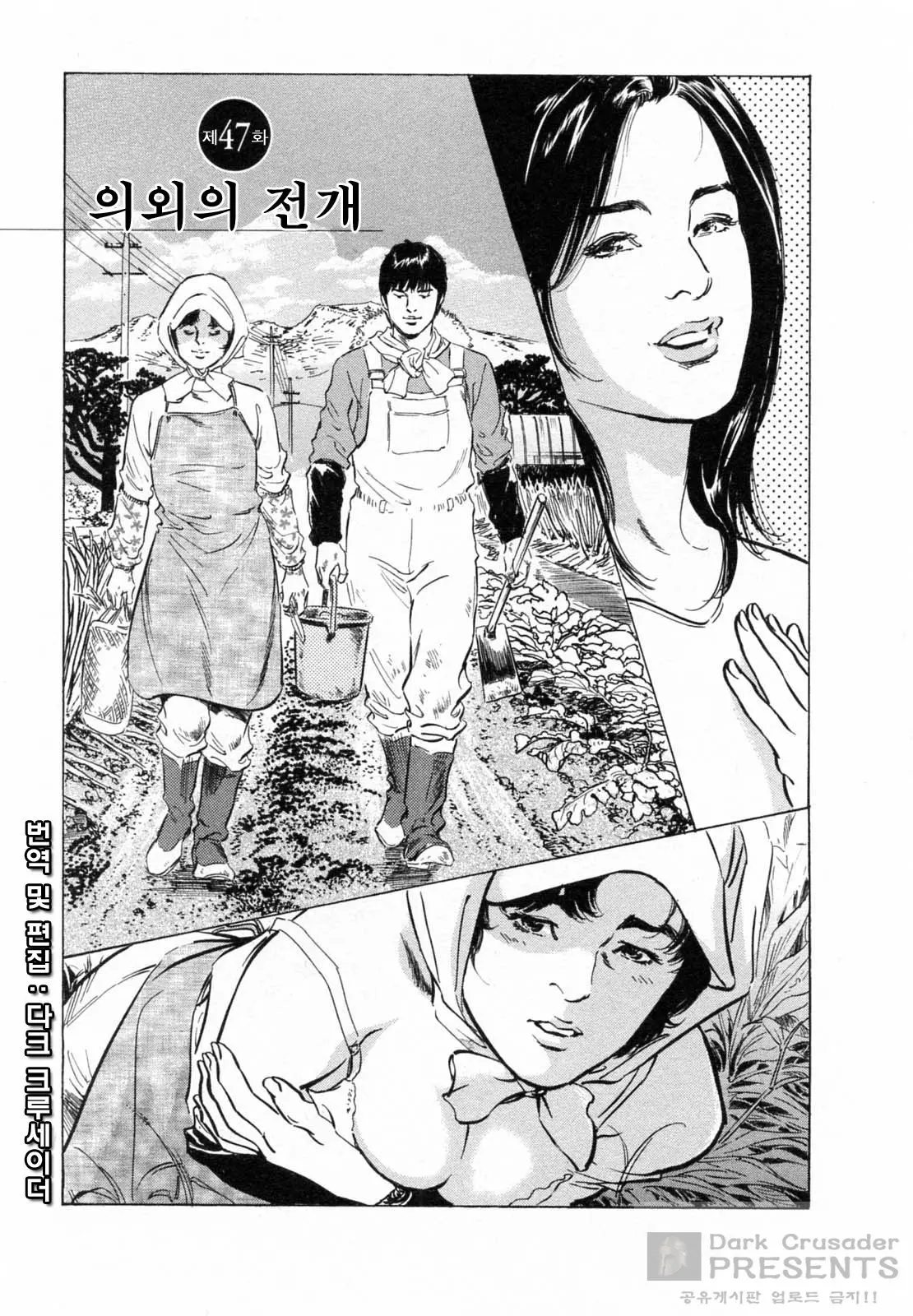 My Pure Lady 5