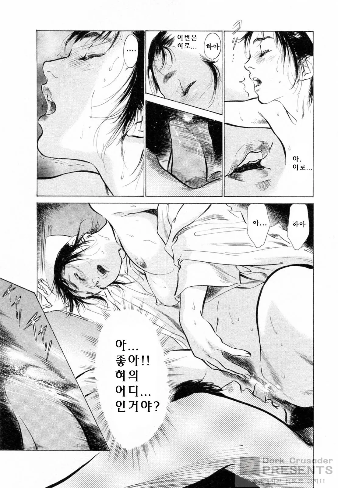 My Pure Lady 5
