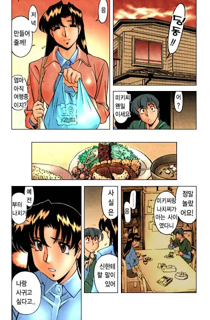 Katei Kyoushi Miki 1