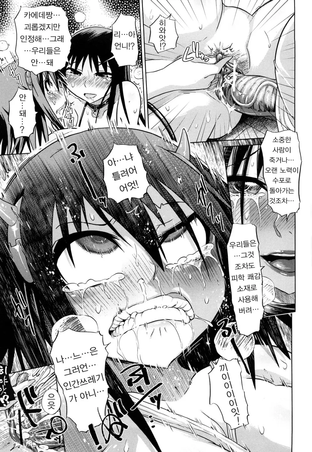 Seifuku Mesubuta Chitai - The Nymphomaniac Zone