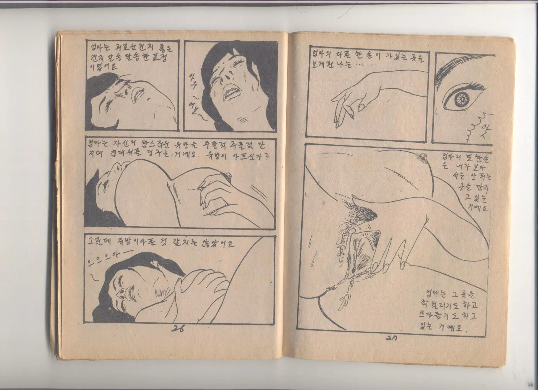 姦淫秘話
