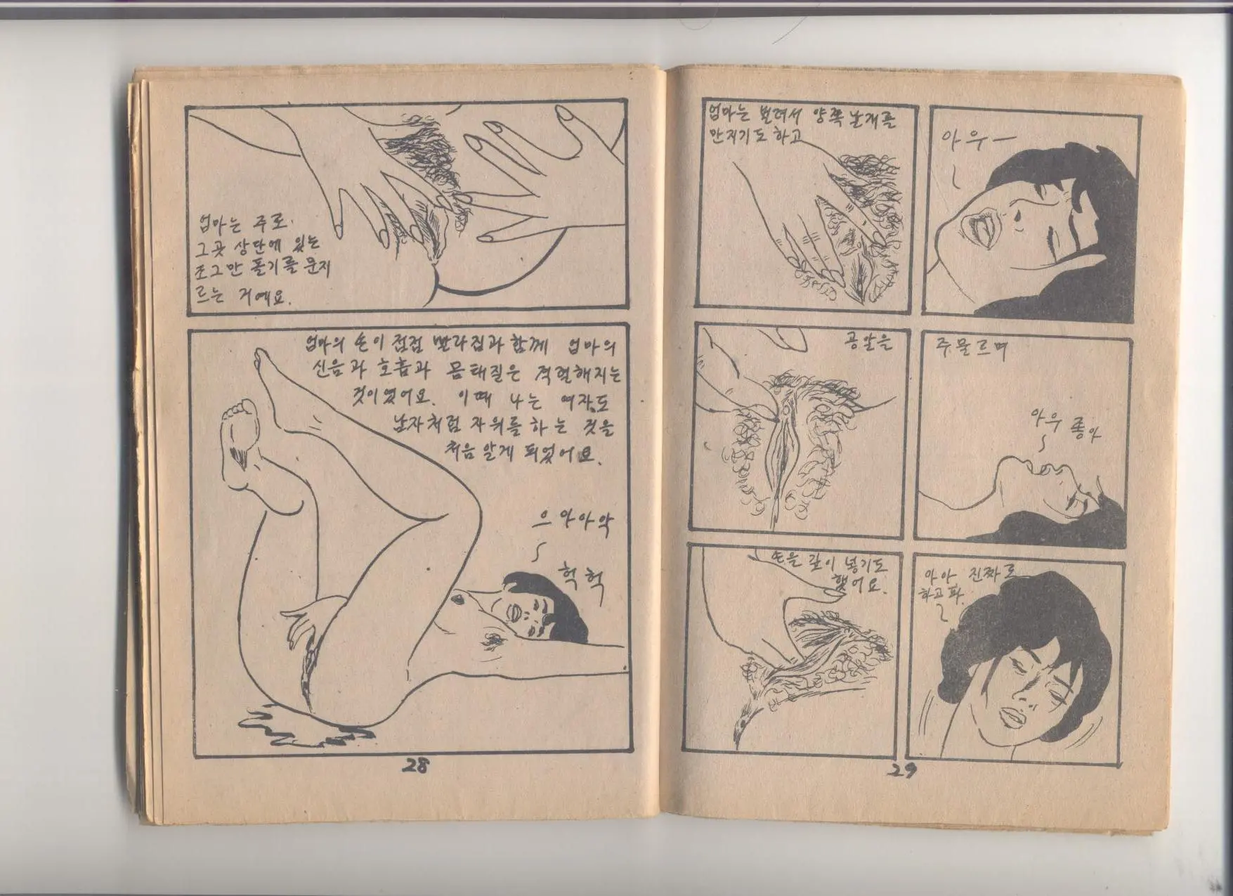 姦淫秘話