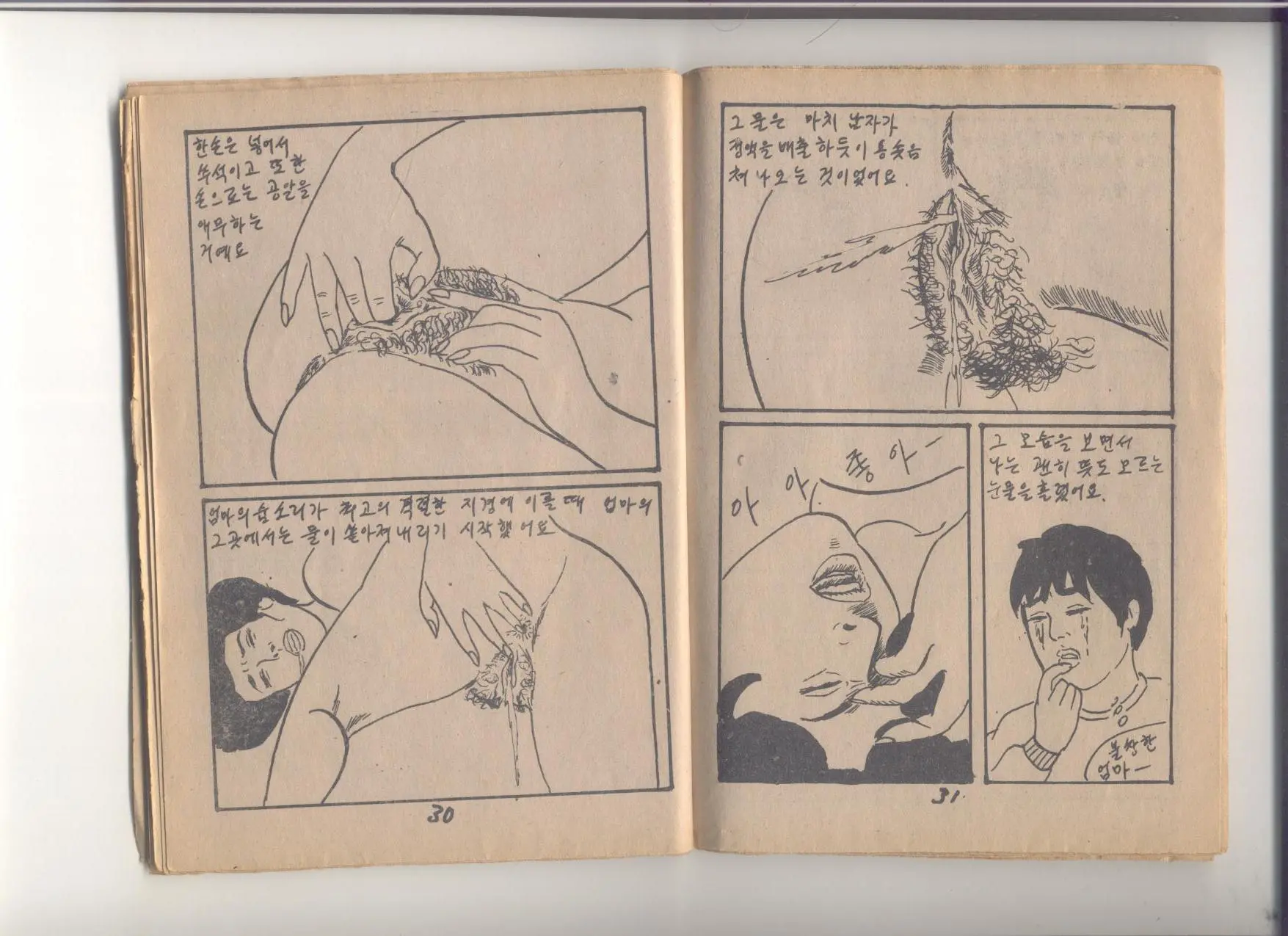 姦淫秘話