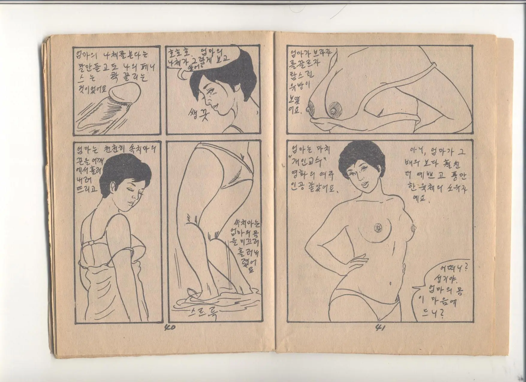 姦淫秘話
